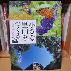 Item thumbnail for item 15d73145-e01d-45e4-afb3-fc3b6ef41ae3