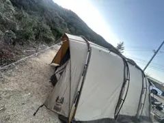 2026年最新】サバティカルアルニカの人気アイテム - メルカリ