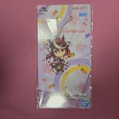 ウマ娘プリティーダービー　シンボリルドルフ