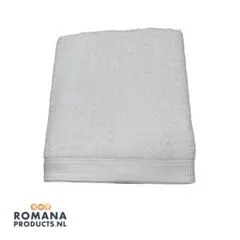 Item thumbnail for item 4ba54b2a-3a2a-416c-8caa-ace43dcea529