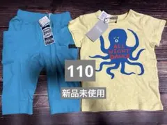 Item thumbnail for item 457f2969-058a-42d9-8801-7a54dd741157