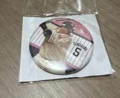 山川穂高選手 若鷹ガチャ 缶バッジ - メルカリ