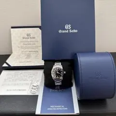 ‼️‼️‼️最終値下げ‼️‼️‼️Grand Seiko SBGR253 自動巻き　黒文字盤のサムネイル