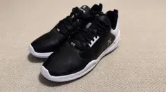 Item thumbnail for item 25f4c4a4-2f23-4c09-8e83-10ed80252570