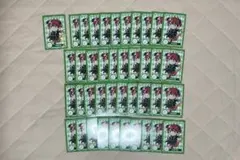 最終値下げ 魔法学園デフォルメトレカ じゃぱぱさん まとめ売り - メルカリ