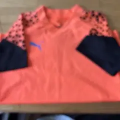 Puma オレンジ Tシャツ Vネック