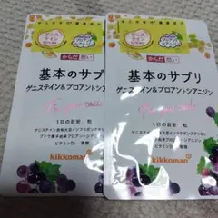 基本のサプリ グルコサミン&プロアントシアニジン 60粒×4袋 - メルカリ