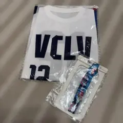 ヴァンフォーレ甲府　ヴァンクラブ　Tシャツ&スマホケース