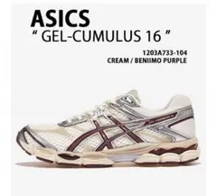 お値下げ‼️ASICS GEL-CUMULUS 16のサムネイル