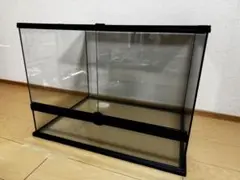 2025年最新】レインフォレストタンクの人気アイテム - メルカリ