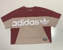 アディダスオリジナルス　Tシャツ　　アディダス　Tシャツ