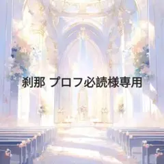 刹那プロフ必読様専用2508W4