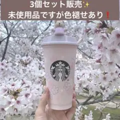 即発送！SAKURA 3個セットリユーザブルカップ ドリンクキャップベアリスタ