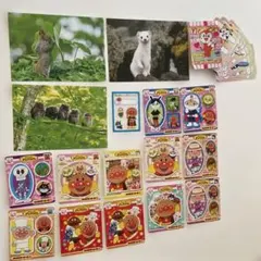 北海道 野生動物はがき アンパンマン シールセット