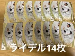 BBM 2025 GENESIS ライデルマルティネス14枚セット