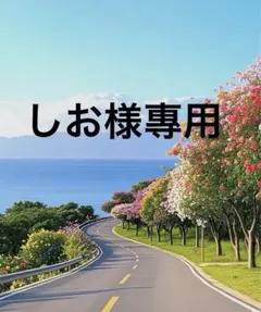 しお様專用（130）