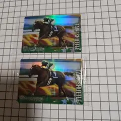 サラブレッドコレクション タイキシャトル