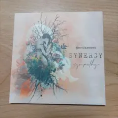 16バンド SYNERGY -sympathy- インディーズ 超美品