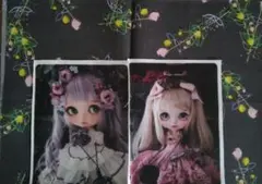 パネル生地＆合わせ生地