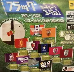 jリーグ 記念グッズ