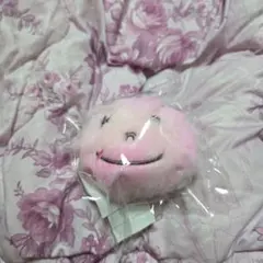 山崎賢人　マスコットKEY