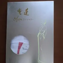 Item thumbnail for item 9b84d1e1-e1b2-4b06-84aa-a6896e16c1a9