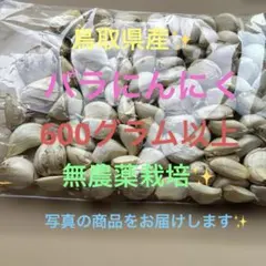 돗토리 현에서 번역한 것이 있습니다 ✨ 장미 마늘, 대용량, 600g 이상, 무농약 재배 ✨③