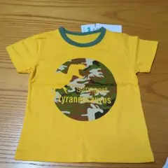 Item thumbnail for item d0d923e8-1812-4fef-802e-112d8572edc7