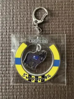 ウェルカムチャンス ジャンタルマンタル アクリルキーホルダーのサムネイル