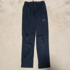 Item thumbnail for item 699e41d9-c5a9-4a95-a193-a2b6f0906c4d