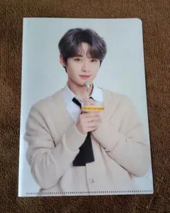 StrayKids リノ ファミリーマート クリアファイル Leeknow