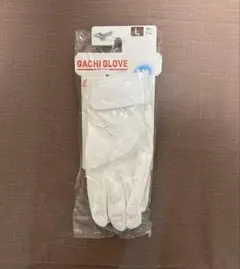 Item thumbnail for item 9fe406a3-fedd-41ac-8cd4-50caa847d57f