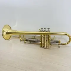 Item thumbnail for item 50ef2ff6-29c3-4a12-af0f-c883db420a8d