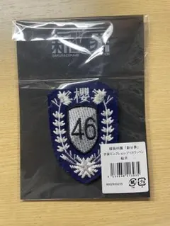 2026年最新】櫻坂46 新せ界 エンブレムの人気アイテム - メルカリ