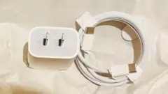 【Apple純正】Apple 20W USB-C充電器と編み込み式ケーブル
