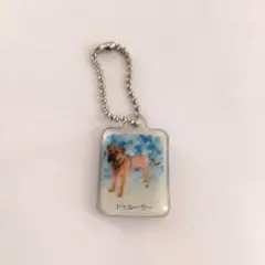 コカ・コーラ　おまけ　平成レトロ　キーホルダー　ドゥルーラー　犬