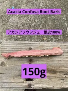 2026年最新】acacia confusaの人気アイテム - メルカリ