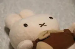 専用