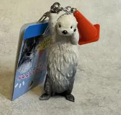 限定】 鳥羽水族館 ラッコのメイちゃん キーホルダー - メルカリ