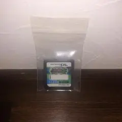 甲虫王者ムシキンググレイテストチャンピオンへの道2 ニンテンドーDS用ソフト