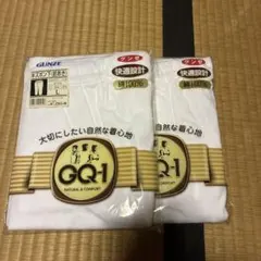 GUNZE GQ-1 半ズボン下 Lサイズ 2枚セット