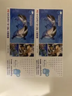 2026年最新】江ノ島水族館の人気アイテム - メルカリ