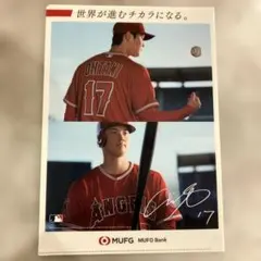大谷翔平 ベーブ・ルース クリアファイル DUNLOP 2枚セット - メルカリ