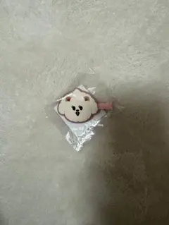 TXT カプセルトイ ヘアクリップ バムグッ プルバトゥ