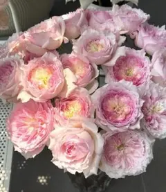 くう様 リクエスト 2点 まとめ商品