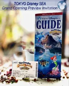 しのたん⭐︎ディズニーシー グランドオープニング ポスター しのたん様専用⭐︎ディズニーシー グランドオープニング