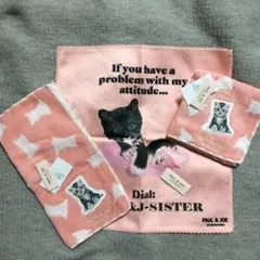 ３枚セット 新品 ポール＆ジョー 猫 大判タオル ハンドタオル