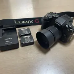 2025年最新】LUMIX DMC-G8の人気アイテム - メルカリ