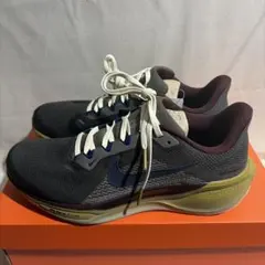 ナイキ エアズーム ペガサス 41 PRM メンズ26.5cm 新品未使用箱あり