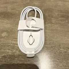 USB-C 充電ケーブル SIMピン付き　iPhone付属品